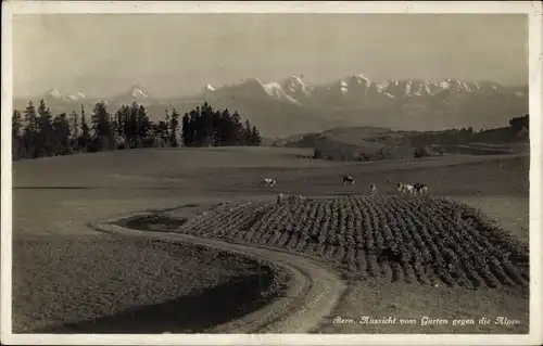 Ak Bern Stadt Schweiz, Aussicht vom Gurten gegen die Alpen