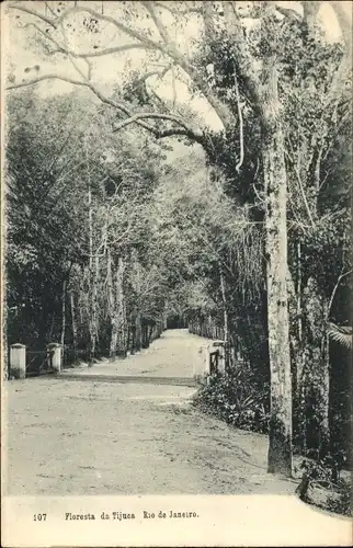 Ak Rio de Janeiro Brasilien, Parouta da Tijuca