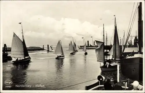 Ak Nordseebad Norderney Ostfriesland, Hafen, Segelboote