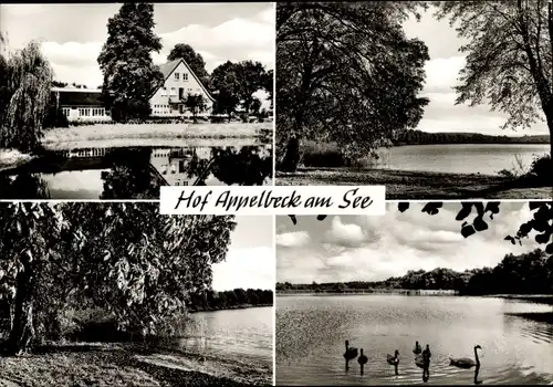 Ak Moisburg in Niedersachsen, Hof Appelbeck am See