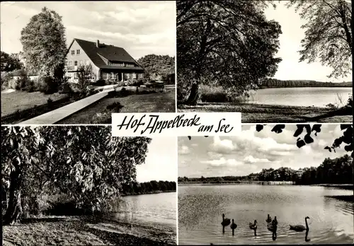 Ak Moisburg in Niedersachsen, Hof Appelbeck am See, Inh. Gertrud Vollmers