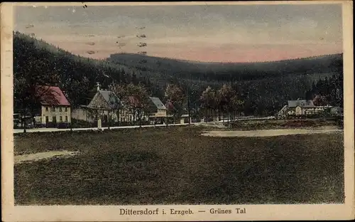 Ak Dittersdorf Amtsberg im Erzgebirge, Grünes Tal