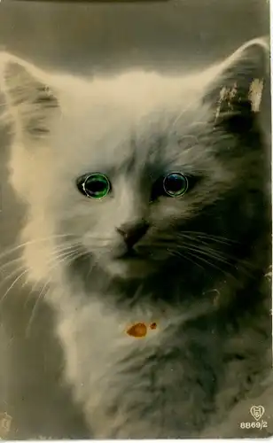 Stoff Ak Weiße Katze mit Plastikaugen, Tierportrait