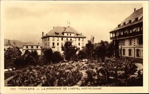 Ak Trois Épis Drei Ähren Elsaß Elsass Haut Rhin, Der Rosengarten des Hotels Notre Dame