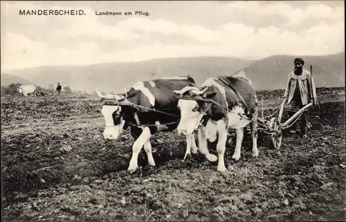 Ak Manderscheid in der Eifel, Landmann am Rinderpflug