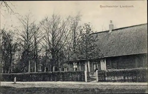 Ak Liesbos Breda Nordbrabant Niederlande, Liesbosch, Boschwachter