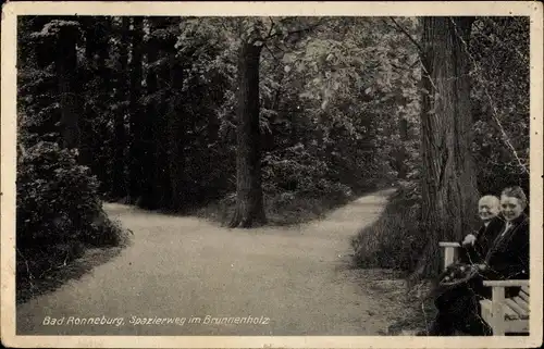 Ak Ronneburg in Thüringen, Spazierweg im Brunnenholz