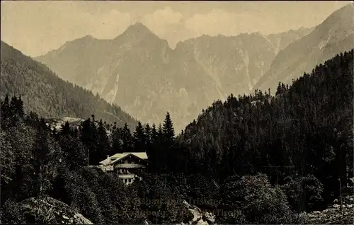 Ak Stumm im Zillertal Tirol, Unterkunftshaus mit Umgebung, Wald