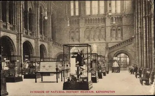 Ak Kensington London England, Interior of Natural History Musem