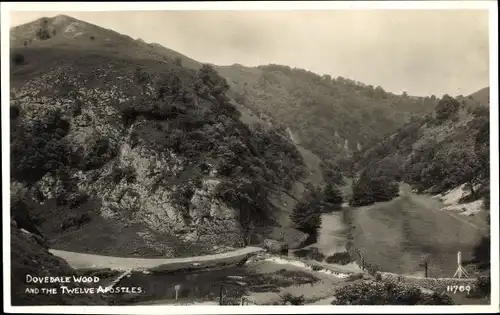 Ak Staffordshire England, Dovedale Wood and the Twelve Apostles