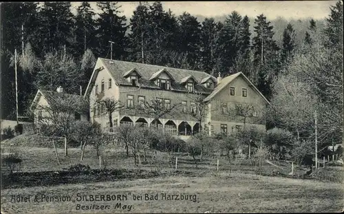 Ak Bad Harzburg am Harz, Hotel und Pension Silberborn