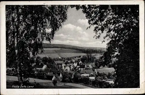 Ak Ossig Gutenborn im Burgenlandkreis, Panorama