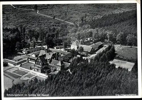 Ak Dassel am Solling, CVJM-Heim inmitten von Laub- und Tannenwald