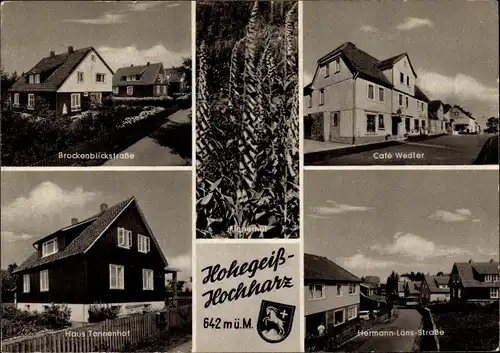 Ak Hohegeiß Braunlage im Oberharz, Brockenblickstraße, Fingerhut, Cafe Wedler, Haus Tannenhof