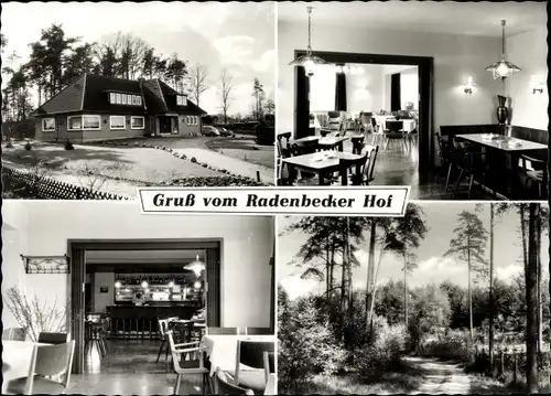 Ak Radenbeck Wittingen in Niedersachsen, Radenbecker Hof, Speiseraum, Waldweg, Inh. Gertrud Salge