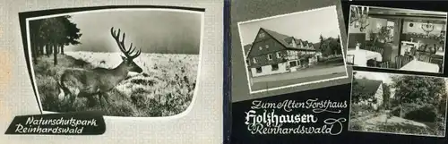 Klapp Ak Holzhausen am Reinhardswald Immenhausen in Hessen, Zum alten Forsthaus, Hirsch