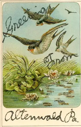 Präge Glitzer Ak Schwalben im Flug, Teich, Seerosen