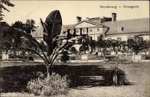 Ak Straßburg Straßburg Elsass Bas-Rhin, Orangerie