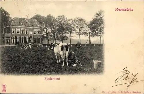 Ak Heemstede Nordholland Niederlande, Zuiderhout, Bauer beim Kuh melken