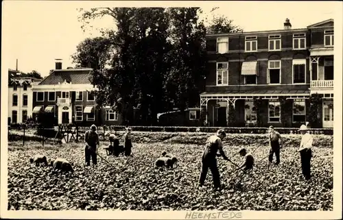 Ak Heemstede Nordholland Niederlande, Meer en Bosch, Arbeidstherapie, In de tuin