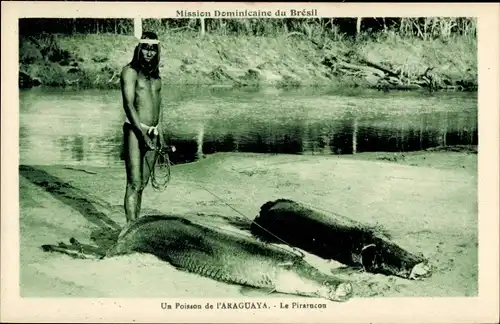 Ak Brasilien, Un Poisson de l'Araguaya, Le Pirarucou