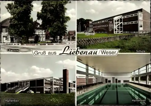 Ak Liebenau an der Weser, Löwinne, Schule, Hallenbad, Schwimmbecken