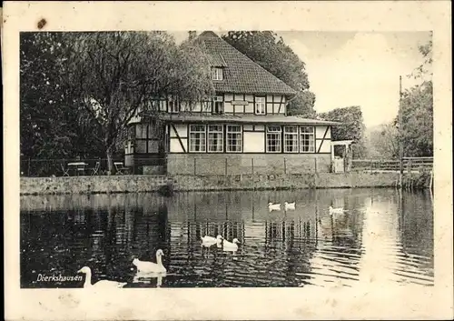 Ak Dierkshausen Asendorf Nordheide, Gasthaus zur Heideblume, Ententeich