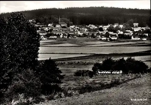 Ak Osterwald Salzhemmendorf Niedersachsen, Blick zum Ort