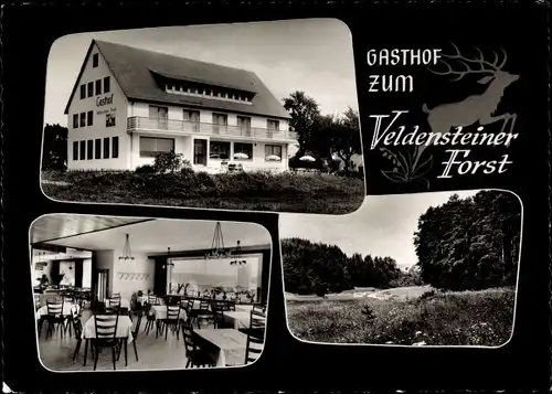 Ak Bernheck Plech in Oberfranken, Gasthof zum Veldensteiner Forst, Panorama