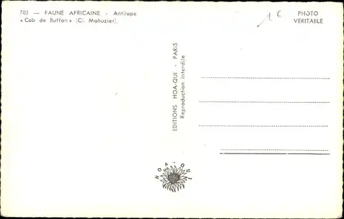 Ak Faune Africaine, Buffons Cob-Antilope