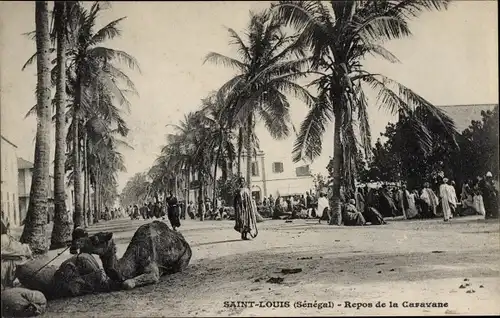 Ak Saint Louis Senegal, Rest der Karawane