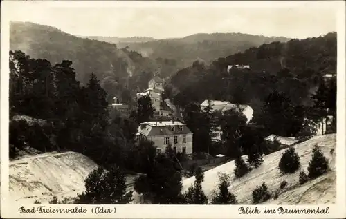 Ak Bad Freienwalde an der Oder, Blick ins Brunnental