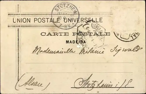 Ak Insel Madeira Portugal, Carro do Monte