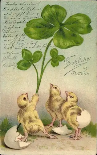 Litho Glückwunsch Ostern, Küken mit Glücksklee, Eierschale
