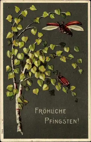 Präge Ak Glückwunsch Pfingsten, Birke, Maikäfer