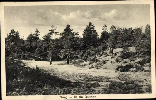 Ak Norg Drenthe, In de Duinen