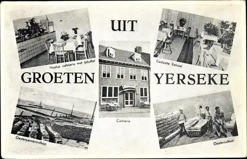 Ak Yerseke Zeeland, Cafetaria, Gedeelte Eetzaal, Oestercultuur, Oesterpannencultuur