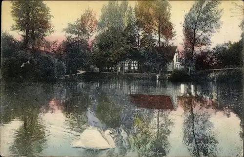 Ak Gessental Ronneburg in Thüringen, Talmühle im Gessental, Schwan, Teich