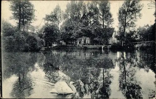 Ak Gessental Ronneburg in Thüringen, Talmühle im Gessental, Schwan, Teich