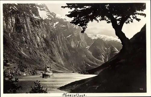 Ak Gudvangen Norwegen, Nærøfjord, Dampfer
