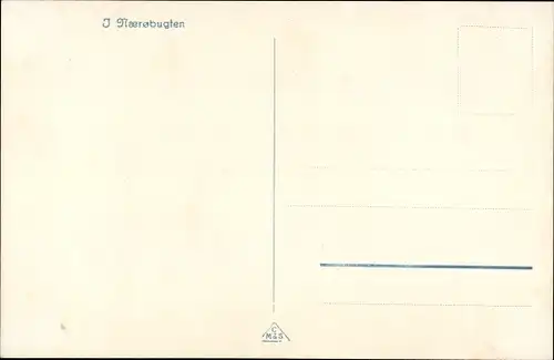 Ak Norwegen, Naerobugten, Fjord, Dampfer