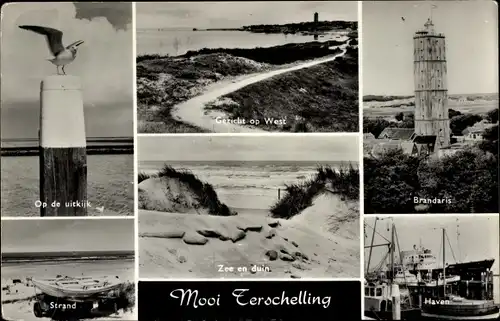 Ak Terschelling Friesland Niederlande, Hafen, Strand, Brandaris, Dünen, Möwe