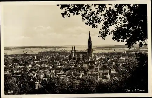 Ak Ulm an der Donau, Gesamtansicht, Münster