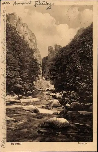 Ak Thale im Harz, Bodetal, Bodetor, Felsen