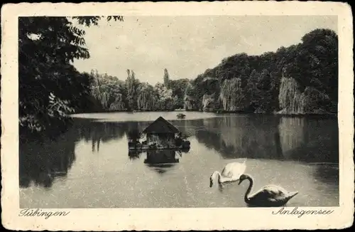 Ak Tübingen am Neckar, Anlagensee, Schwäne