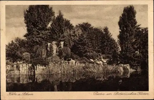 Ak Köln am Rhein, Partie am Botanischen Garten