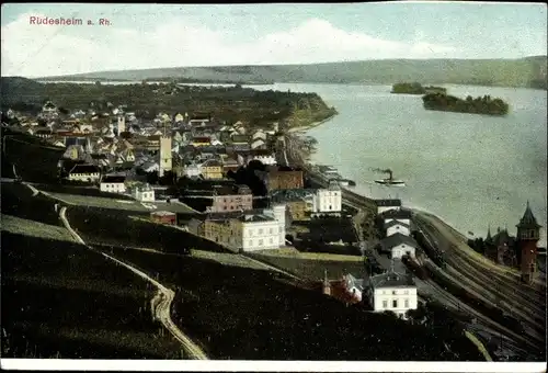 Ak Rüdesheim am Rhein Hessen, Blick auf den Ort mit Umgebung