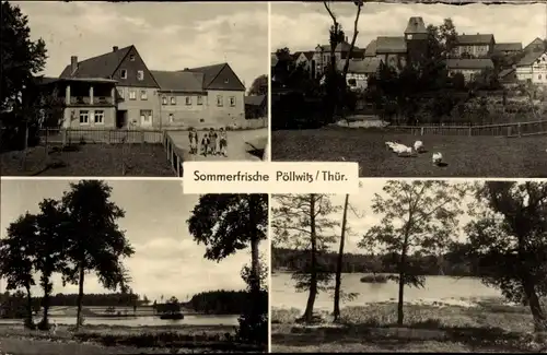 Ak Pöllwitz Zeulenroda Thüringen, Reußischer Hof, Gänse, See