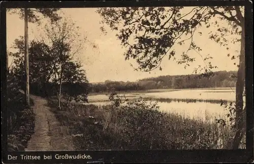 Ak Großwudicke im Havelland, Trittsee