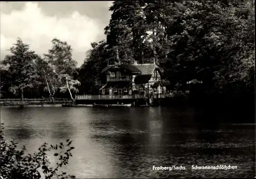 Ak Freiberg in Sachsen, Schwanenschlößchen, See